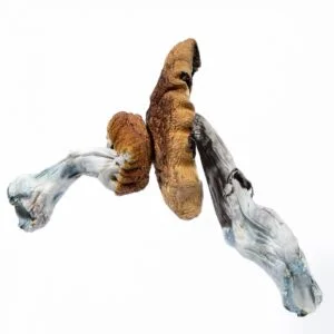 blue meanies mushrooms . 300x300.jpg.webp