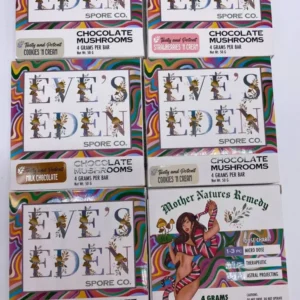 eves eden 2.jpg 768x1024 1 1.webp