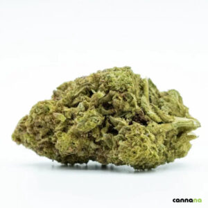 goilla glue 10 oh hhc.jpg