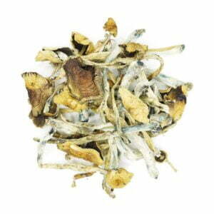 golden teachers magic mushrooms 300x300 1.jpg