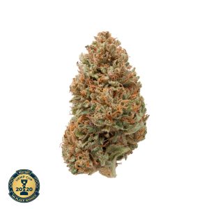 hawaiian haze cbd flower cup winner 300x300 1.jpeg hawaiian haze cbd flower cup winner 300x300 1.jpeg