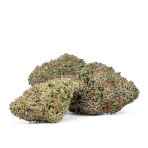 jack herer 300x300 1.jpg