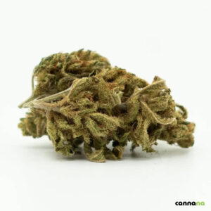 sugar queen cbd.jpg