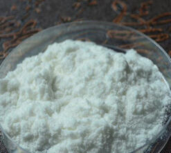 buy scopolamine powder online 247x296 1 e1757082090326.jpg