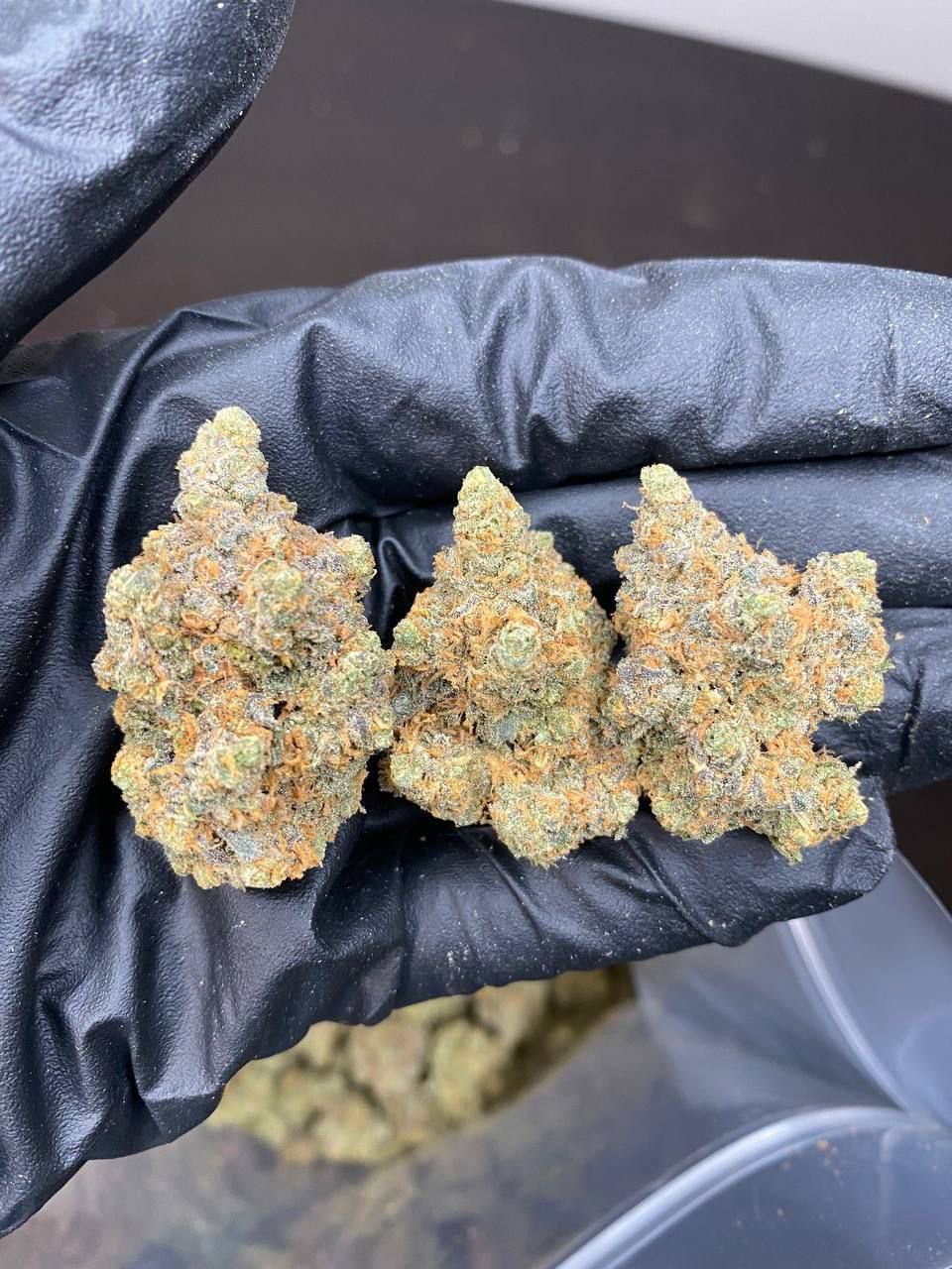 buy kush in hamburg.jpeg buy kush in hamburg.jpeg