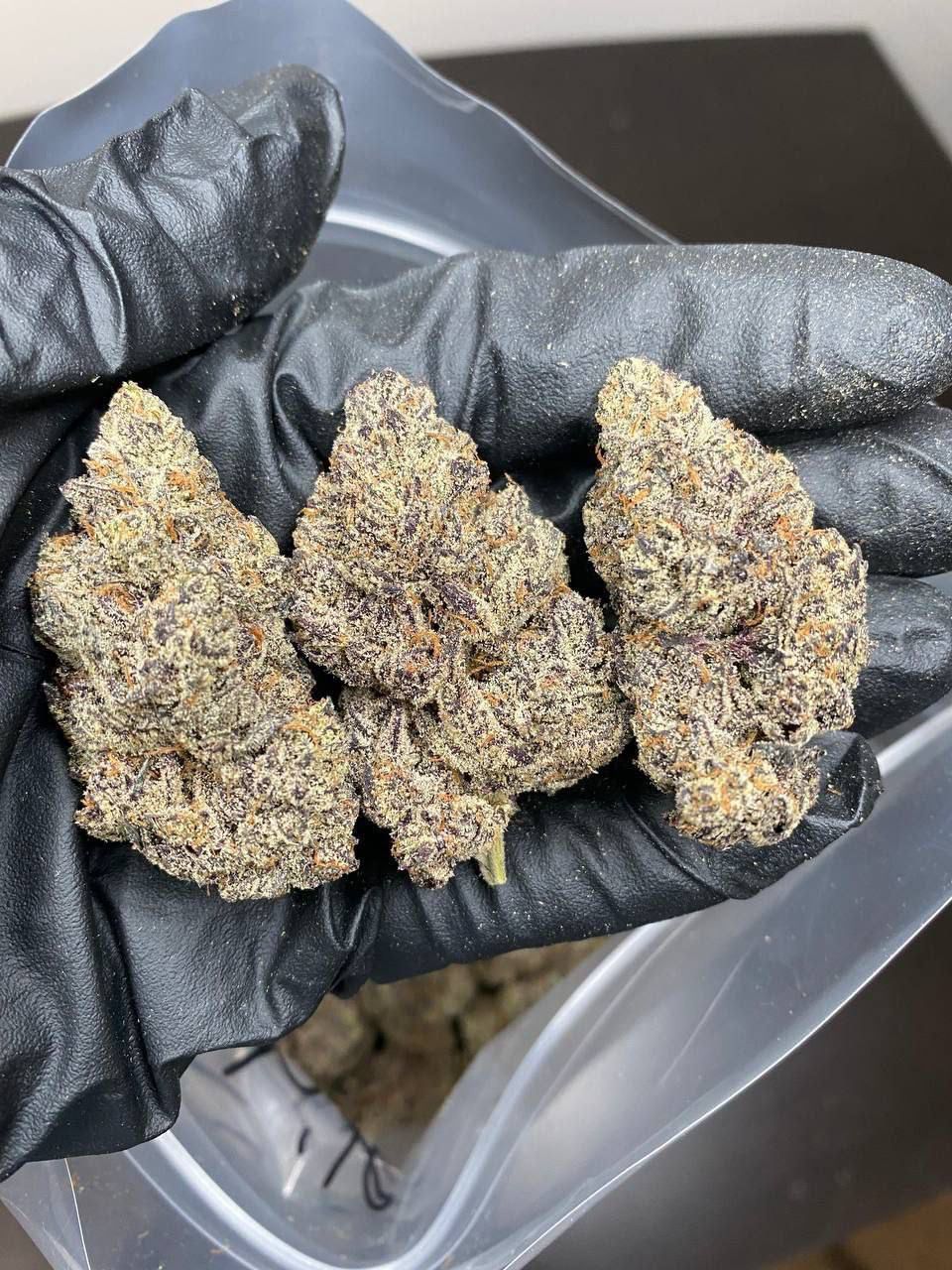 buy kush online.jpeg buy kush online.jpeg