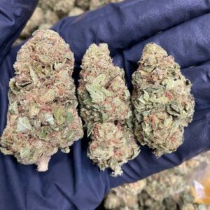 buy weed online hamburg.jpeg