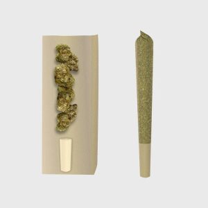 gelato prerolls power lvl 45 3er pack 1412944 300x300 1.jpg