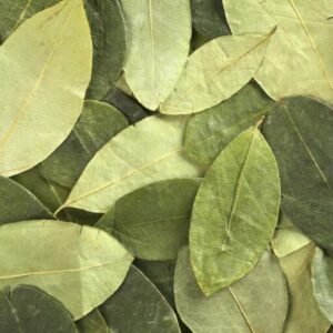 hojas de coca1kg 1 768x511 1.jpg