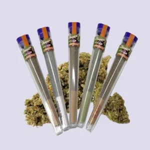 i love pot hhz pre roll bundle skunk 1 mit 5 stk default title 62396320252247 300x300 1.webp