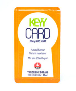 keyycard orangeshot 1 247x296 1.jpg